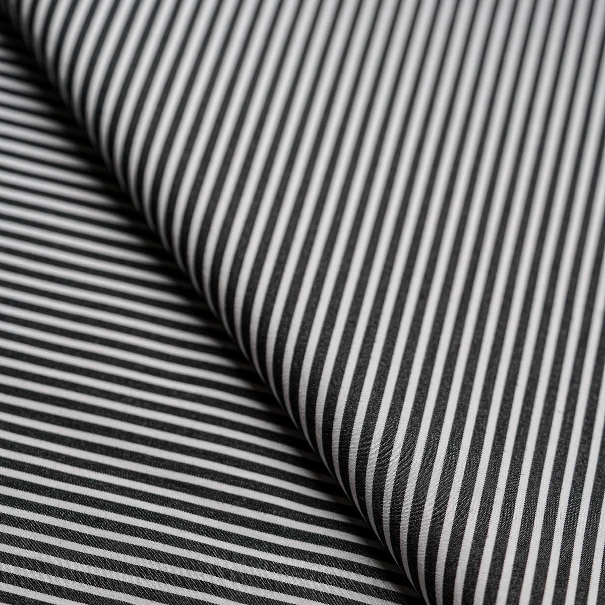 Black & White Stripes