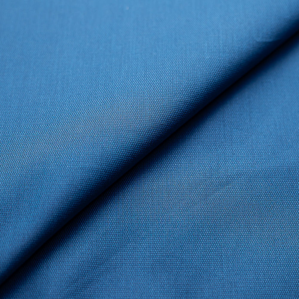 Bird Eye in Blue