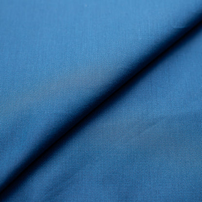 Bird Eye in Blue